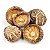 Cogumelo Shiitake Premium Desidratado - 454g - Imagem 2
