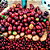 Café Gourmet Kook Supreme Moído - 500g - Imagem 6
