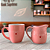Kit Caneca Porcelana 02 (kit caneca e leiteira rosa) - Imagem 1