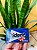 Trident Chicle Importado Peppermint - Imagem 1