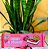 Terravita Barra de Chocolate Gigante Cherry & Yoghurt 235g - Imagem 1