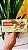 Terravita Barra de Chocolate Mint-Lime 100g - Imagem 1