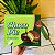Choco Pie Green Tea Caixa Com 12 Unidades 336g - Imagem 1