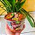Lamen Coreano Samyang Hot Chicken Soup 120g - Imagem 1