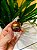 Lindt Chocolate Trufa Double Chocolate 12,5g - Imagem 1