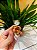 Lindt Chocolate Trufa Doce de Leite 12,5g - Imagem 1
