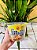 Lamen Coreano Jin Ramen Mild 110g - Imagem 1