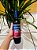 Vinho TInto Stardust *Edição Limitada Signos Aries* 750ml - Imagem 1