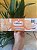 Biscoito Importado St Michel Le Sable de Retz Coconut 120g - Imagem 1