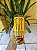 Energetico Importado Monster The Doctor 500ml - Imagem 1