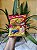 Salgadinho Elma Chips Fandangos Presunto 37g - Imagem 1