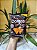 Salgadinho Elma Chips Sweet Chilli 37g - Imagem 1