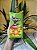 Salgadinho Elma Chips Doritos Dinamita Pimenta Mexicana 60g - Imagem 1