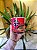 Lamen Coreano Nongshim Shin 75g - Imagem 1