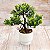 Vaso Bonsai Artificial - Imagem 1