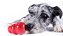 Kong Classic Medium (T2) - brinquedo recheável - Imagem 2