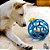 Bola JW Holee Roller para cachorro azul - G - Imagem 2