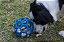 Bola JW Holee Roller para cachorro - Cor verde - Imagem 4