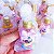 Aromatizador Personalizado com saquinho organza - Imagem 2