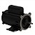 MOTOR PARA BOMBA JET PUMP 1CV 2P W48J 1F 60HZ WEG - Imagem 1