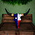 Crânio Decorativo Bandeira Texas - Imagem 1