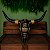Crânio Decorativo Tema Senna - Imagem 1