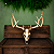 Crânio Decorativo Cervo - Imagem 1