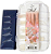 Tip EDGE D&Z Kit com 100 unidades de Unha Transparente Postiça - Imagem 1