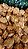 BISCOITO ARROZ CROCANTE BARBECUE - Imagem 1