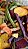 CHIPS DE VEGETAIS LIOFILIZADOS - Imagem 1
