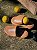 Flatform Capri | velcro couro caramelo - Imagem 2