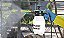 Pulverizador Manual Practical 1,5L - Brudden - Imagem 9