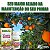 Kcura 100ml - Rawell Química - Imagem 7