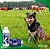 Alpha Ciper Cipermetrina 15% 20ml - Kelldrin - Imagem 2