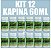KIT 12 Kapina 60ml - Rawell Química - Imagem 1