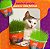 KIT 2 Graminha para Gatos - Mister Grama - Imagem 3