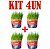 KIT 4 Graminha para Gatos - Mister Grama - Imagem 1
