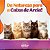Areia Para Gatos Fina 4kg - Mister Serracat - Imagem 3