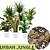 Urban Jungle PRO 8L - Terral - Imagem 3