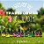 KIT 2 Mais Flores Concentrado 500ml - Kelldrin - Imagem 5