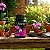 KIT 3 Mais Flores Concentrado 500ml - Kelldrin - Imagem 2