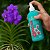 KIT 2 Orquídeas Pronto Uso 500ml - Terral - Imagem 3