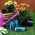 KIT 2 Raiz Concentrado 500ml - Terral - Imagem 3