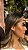 Ear hook  tubo • folheado a prata - Imagem 1