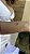 Pulseira trevo verde • folheado a ouro - Imagem 2