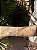 Pulseira strass cristal • folheado a ouro - Imagem 3