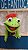 Fantoche Sapo Peter - Imagem 1