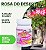 FERT. ROSA DO DESERTO FLORIDAS E SAUDAVEIS FLORAÇÃO E CAUDEX LEUDO JUNIOR 09-38-15 +CALCIO POTE 200G - Imagem 1
