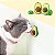 Brinquedo Abacate com Catnip Para Gatos - Imagem 2