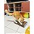 Arranhador de Papelão Anti Estresse Para Gatos - Imagem 6
